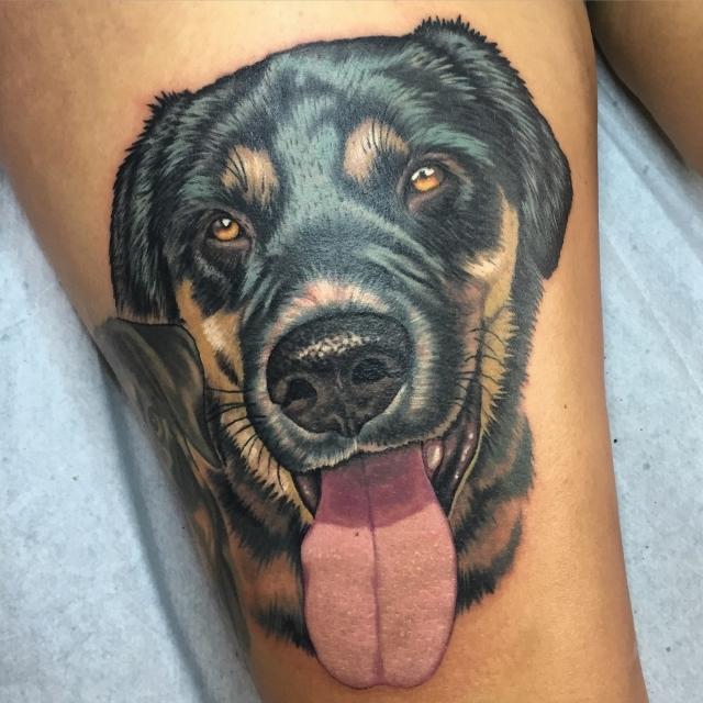 Dog portrait tattoo by Steve Butcher  Post 31591