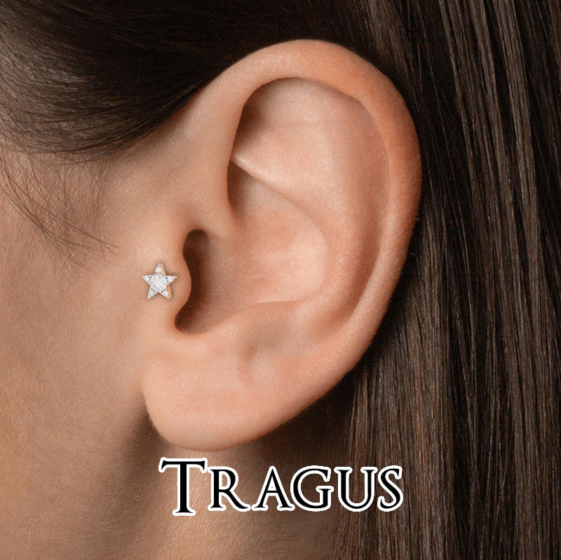 tragus.jpg