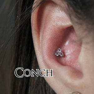 conch.jpg