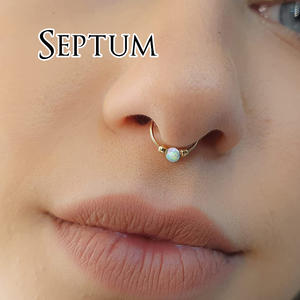 septum.jpg