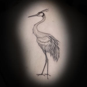 crane-bird-tattoo-kaitlyn-mcknight-knoxville.jpg