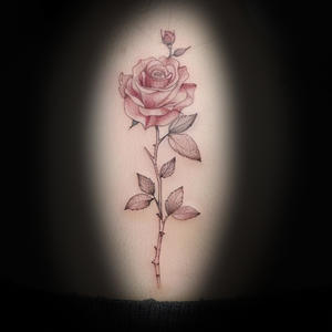rose-tattoo-kaitlyn-mcknight-knoxville.jpg
