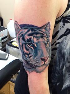 Blue Tiger Tattoo